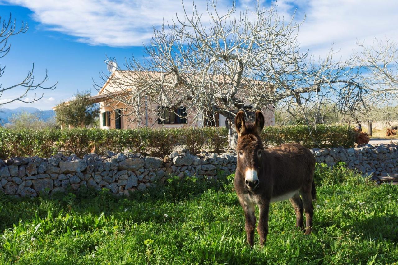 155 Finca Son Rossignol By Mallorca Charme Синеу Екстериор снимка